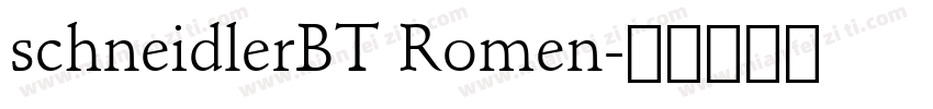 schneidlerBT Romen字体转换